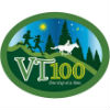 vt100-logo